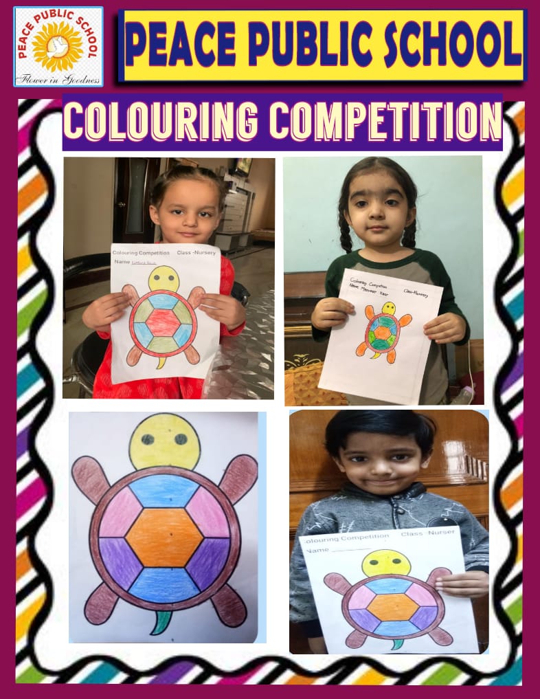 Online Colouring Competition