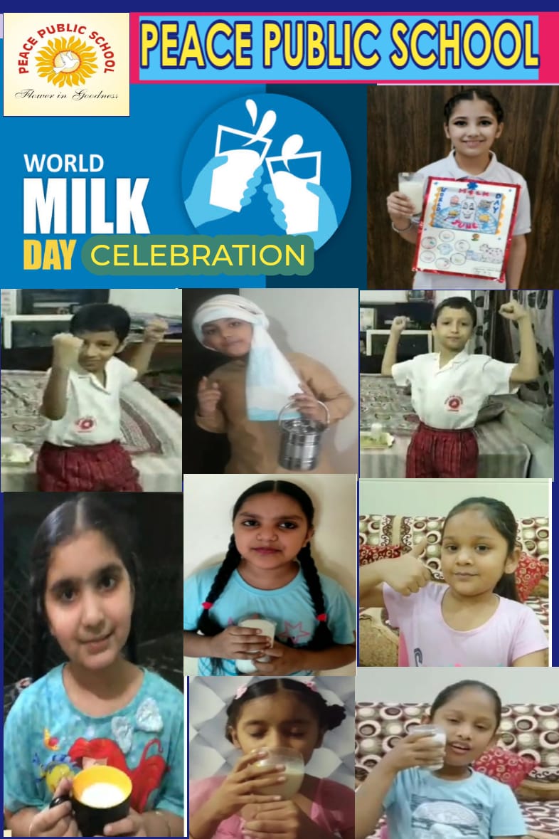 World Milk Day Celebration!!!