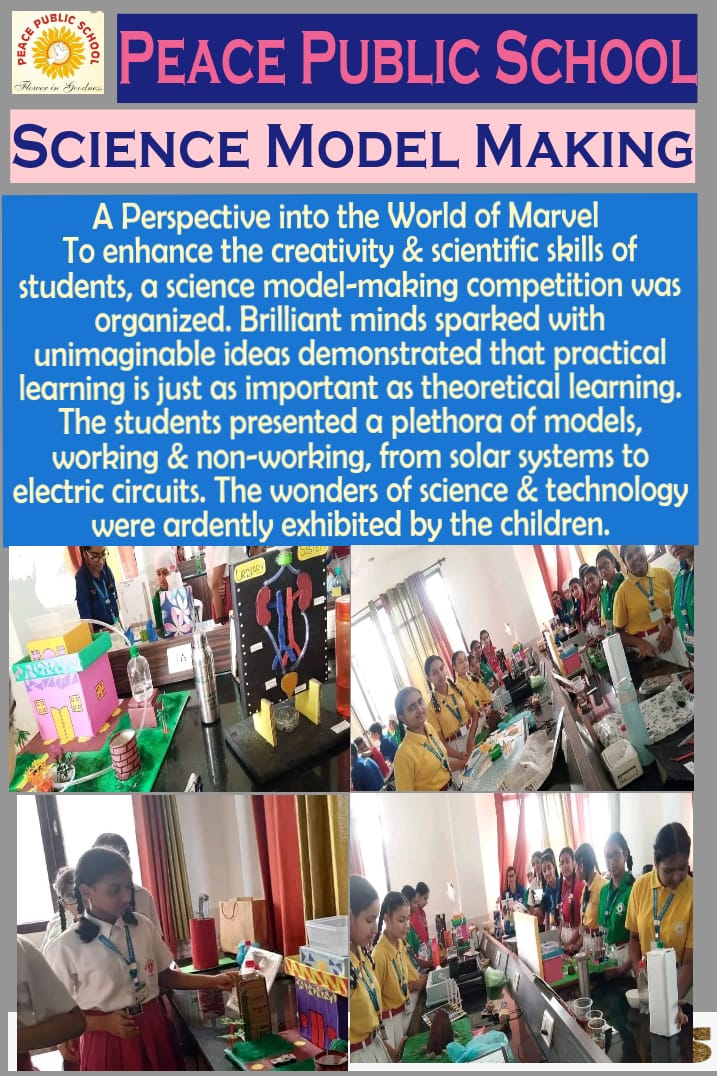 Science model-making competition