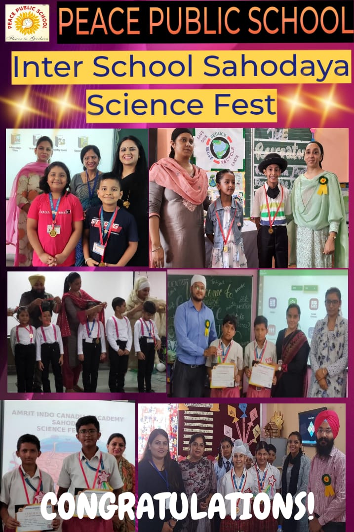 Inter School Sahodaya Science Fest
