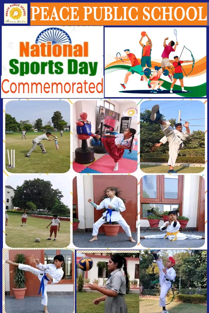 National Sports Day celebration