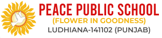 Peace Public School | Best CBSE School Near Ludhiana